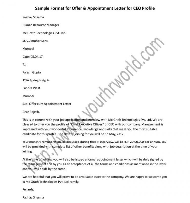 Offer Appointment Letter Format for CEO Profile